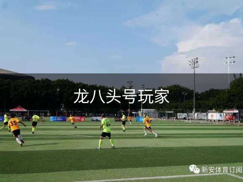 平台介绍